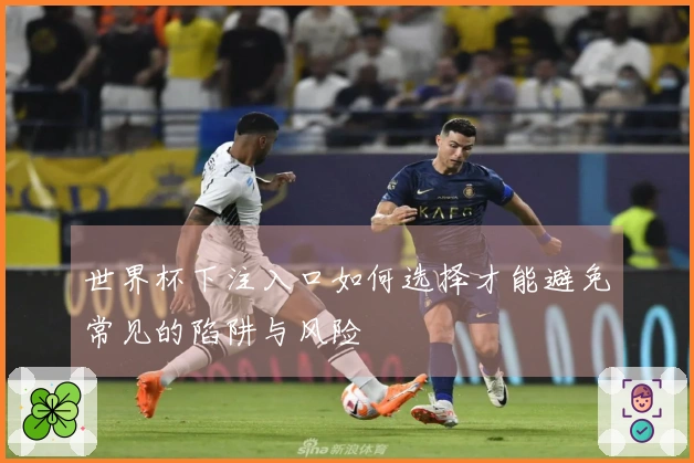 世界杯下注入口如何选择才能避免常见的陷阱与风险