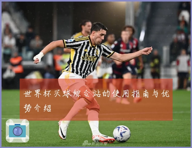 世界杯买球综合站的使用指南与优势介绍