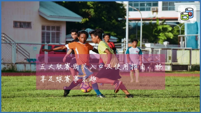 五大联赛购买入口及使用指南，畅享足球赛事乐趣