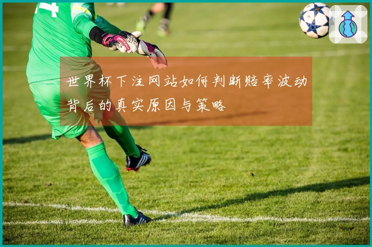 世界杯下注网站如何判断赔率波动背后的真实原因与策略