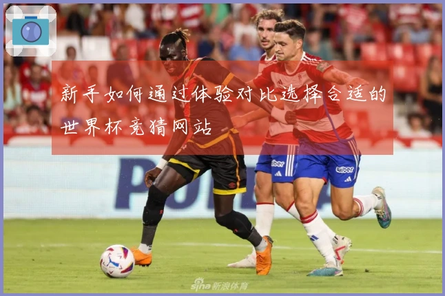 新手如何通过体验对比选择合适的世界杯竞猜网站