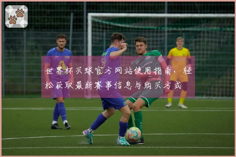 世界杯买球官方网站使用指南，轻松获取最新赛事信息与购买方式