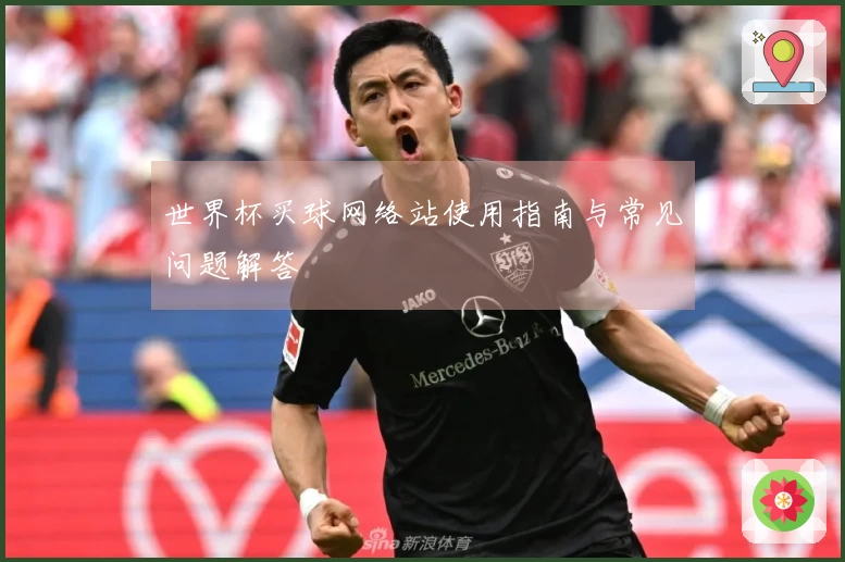 世界杯买球网络站使用指南与常见问题解答