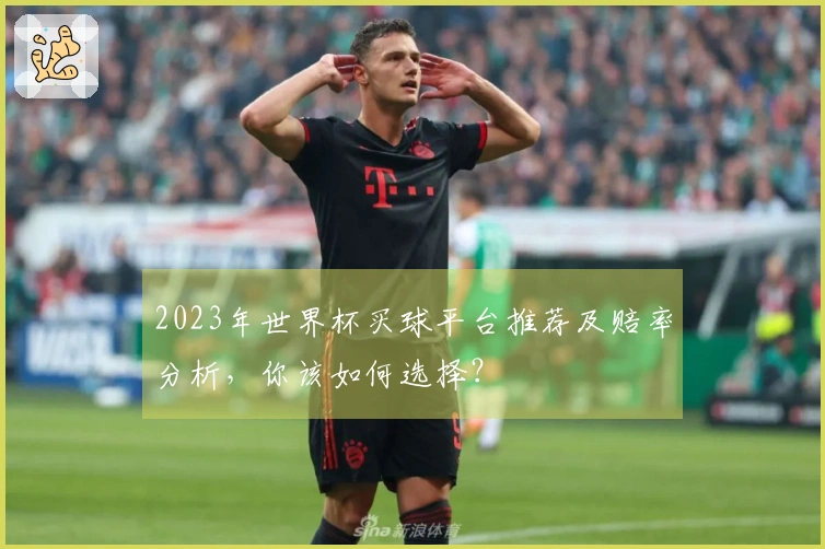 2023年世界杯买球平台推荐及赔率分析，你该如何选择？
