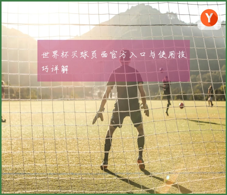 世界杯买球页面官方入口与使用技巧详解