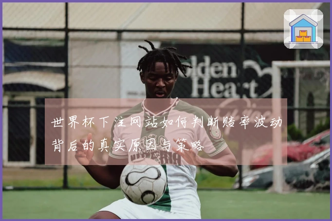 世界杯下注网站如何判断赔率波动背后的真实原因与策略