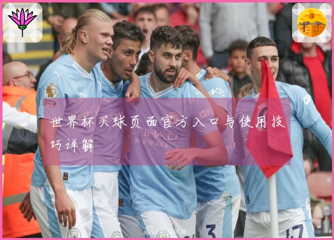 世界杯买球页面官方入口与使用技巧详解