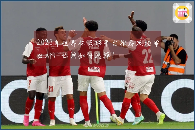 2023年世界杯买球平台推荐及赔率分析，你该如何选择？