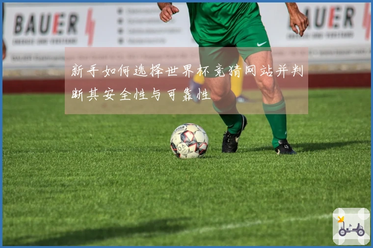 新手如何选择世界杯竞猜网站并判断其安全性与可靠性