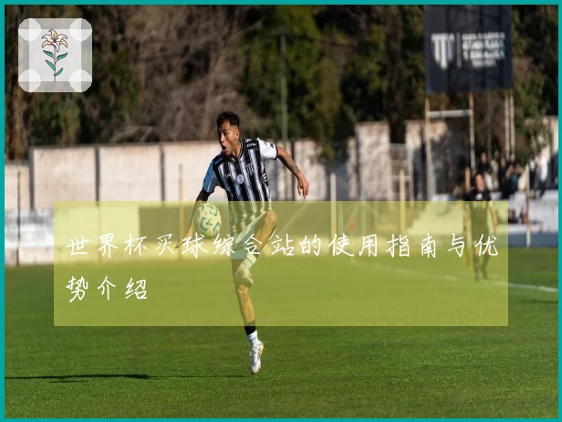 世界杯买球综合站的使用指南与优势介绍