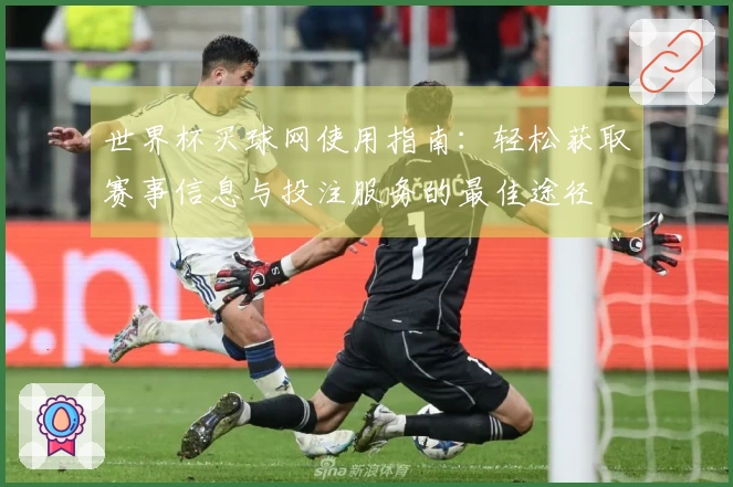 世界杯买球网使用指南:轻松获取赛事信息与投注服务的最佳途径