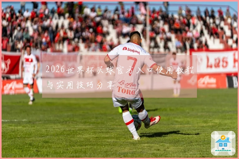 2026世界杯买球官方入口使用教程与实用技巧分享