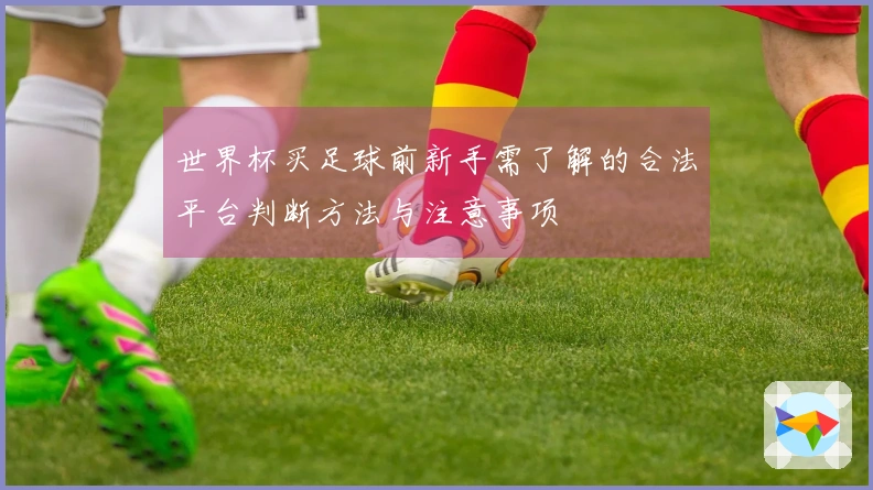 世界杯买足球前新手需了解的合法平台判断方法与注意事项
