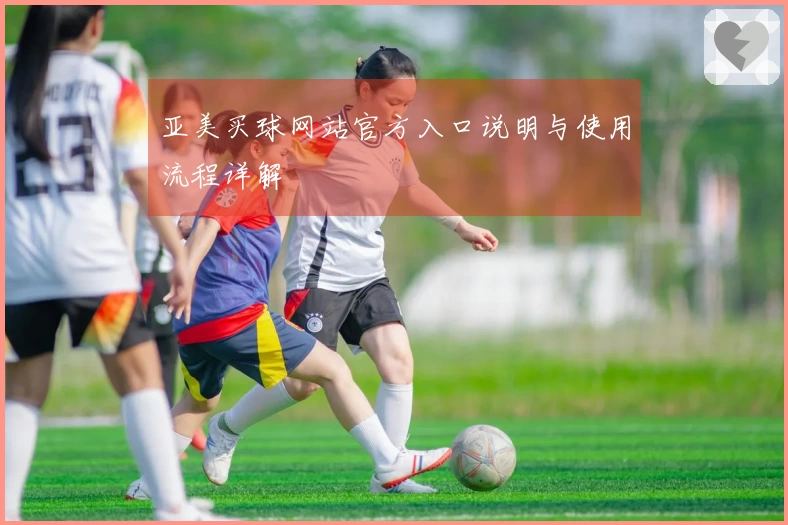 亚美买球网站官方入口说明与使用流程详解