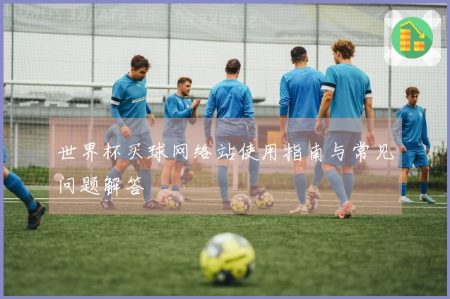世界杯买球网络站使用指南与常见问题解答