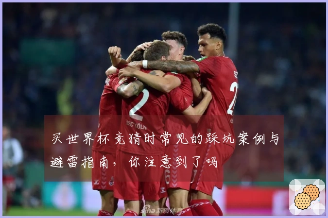 买世界杯竞猜时常见的踩坑案例与避雷指南，你注意到了吗