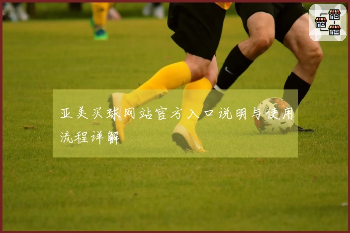 亚美买球网站官方入口说明与使用流程详解
